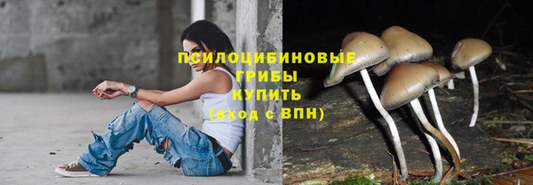 трава Абинск