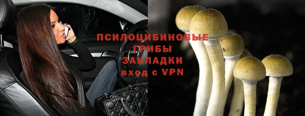 трава Абинск