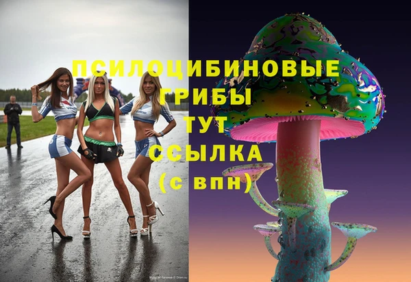 трава Абинск
