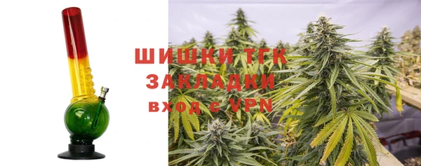 крисы Абдулино
