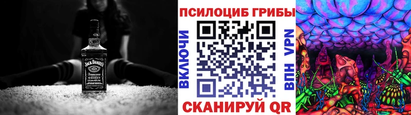 Псилоцибиновые грибы прущие грибы Абаза